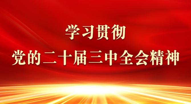 【专栏】学习贯彻党的二十届三中全会精神